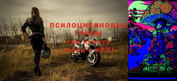 твердый Горнозаводск