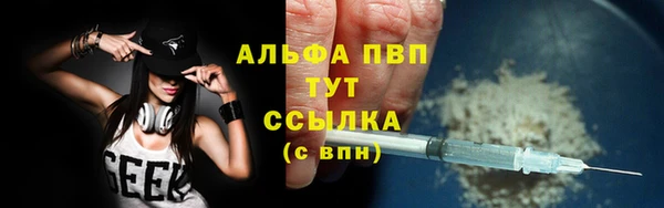 mdpv Горно-Алтайск