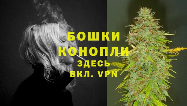 mdpv Горно-Алтайск