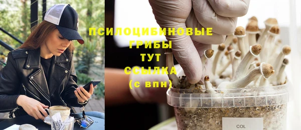 а пвп мука Горняк
