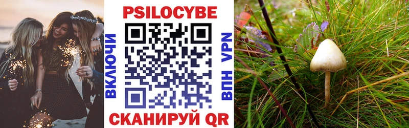 купить закладку  Перевоз  Псилоцибиновые грибы Cubensis 